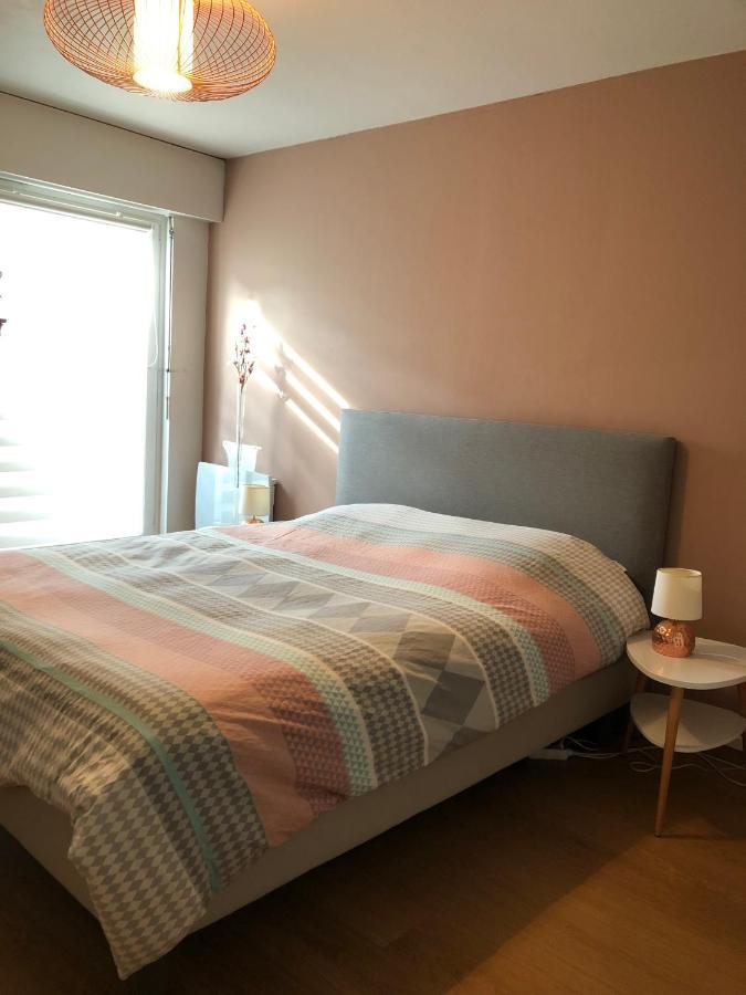 Magnifique Appart + Terrasse De 35M² Lejlighed Strasbourg Eksteriør billede